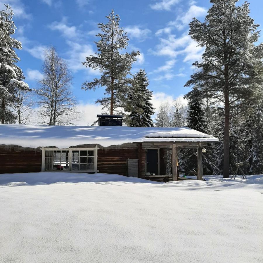 Ollero Eco Lodge Rovaniemi Bagian luar foto